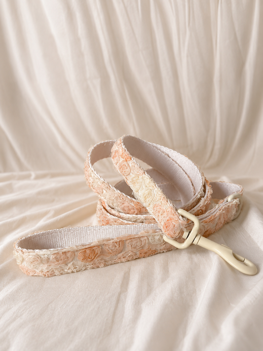 Auriel leash