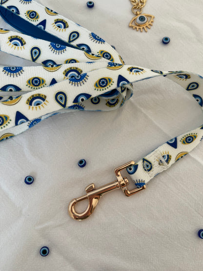 Guardian leash