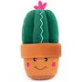 Zippy Paws - Cactus